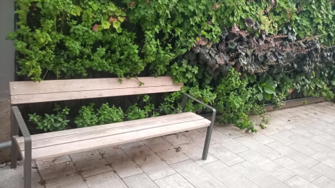 Polička - Městská knihovna-sk